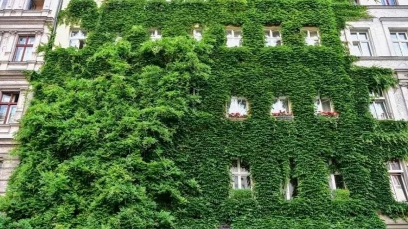 Il bonus verde per rifare giardini e impianti di irrigazione