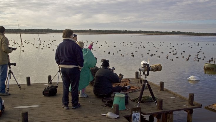 Giornate delle oasi WWF: alla scoperta dei paradisi della biodiversità