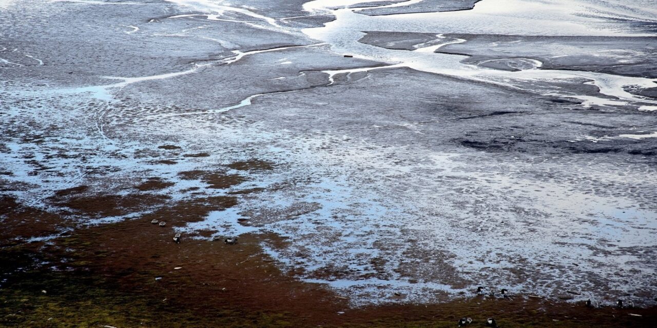 Il permafrost dell’Artico è una bomba a orologeria