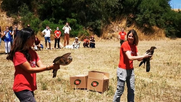 Oasi naturali, escursioni e plogging: le idee per un Primo Maggio nella natura