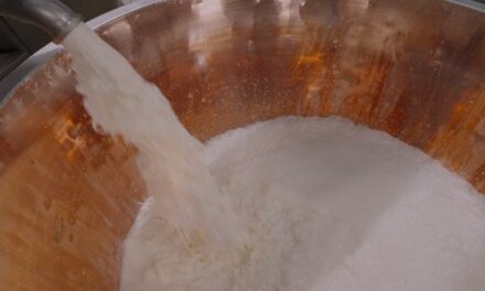 Enersem ricava biogas e acqua pulita dal siero dei formaggi