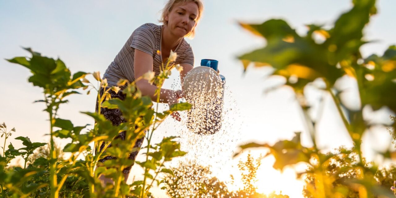 Nel giardinaggio naturale non esistono “erbacce”