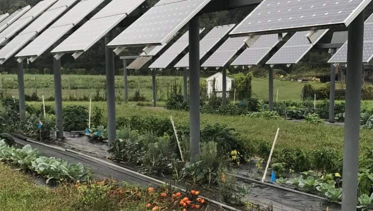 Agrivoltaico: come funzionano gli incentivi per i pannelli solari