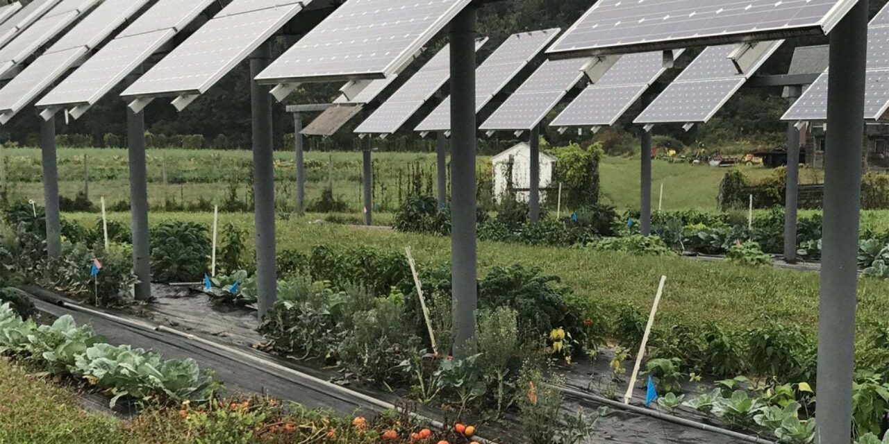 L’annuncio di Pichetto e il rapporto Gse sul fotovoltaico