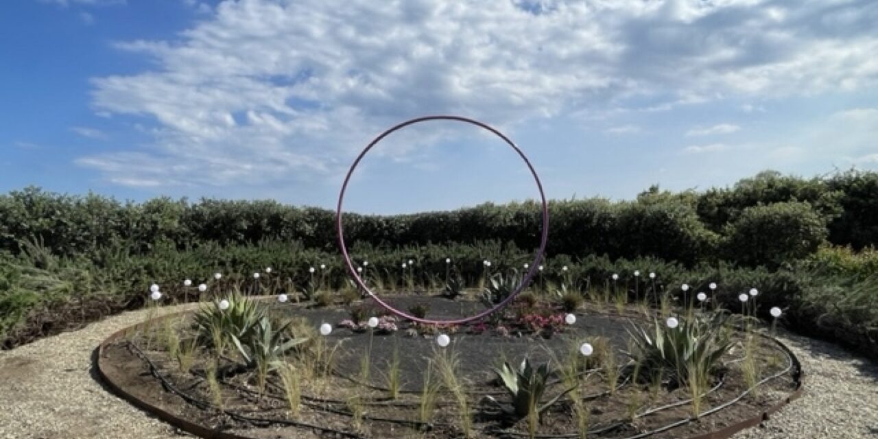 Come curare un giardino resiliente ispirato al modello mediterraneo