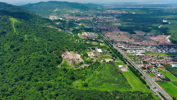 Cerro Blanco l’ultima foresta tropicale secca dell’Ecuador, che il cemento di Guayaquil erode giorno dopo giorno