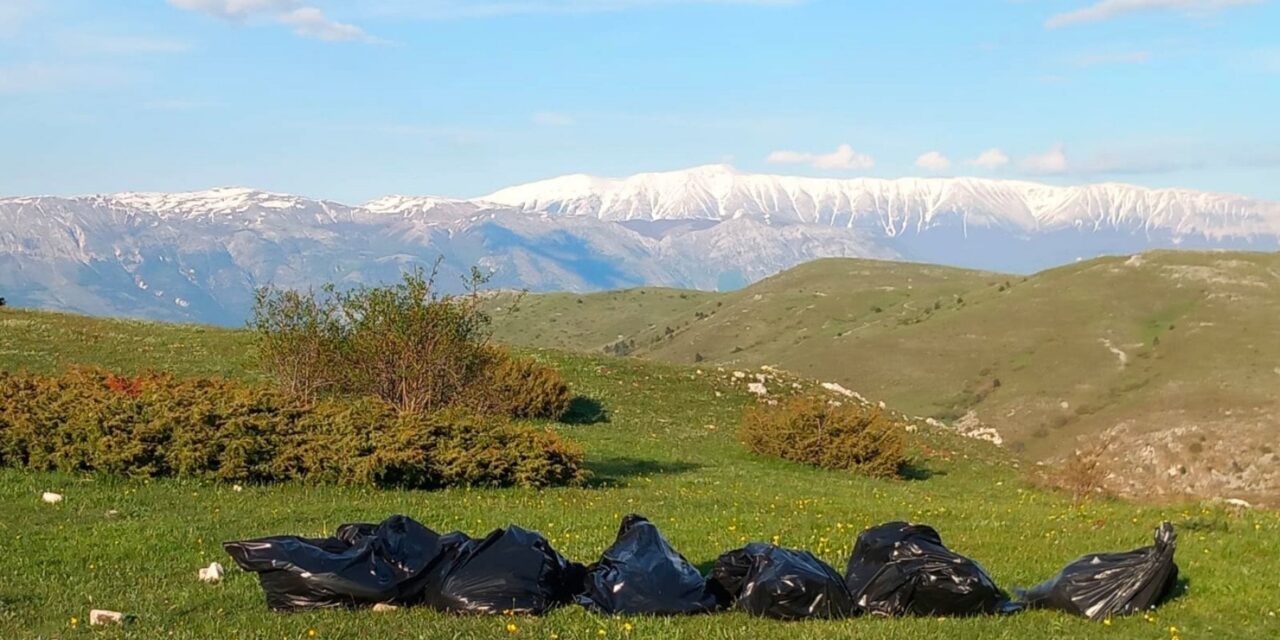 Nove i lupi morti sull’Appennino, l’appello per fermare la strage