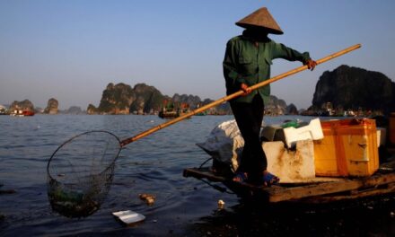 Vietnam, Ha Long Bay nella morsa della plastica. “Così il paradiso svanisce”