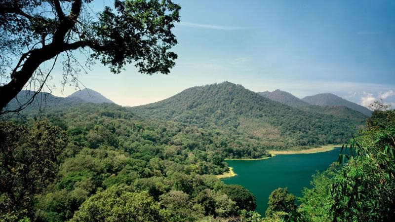 Bali, la foresta sacra che gli indigeni vogliono salvare dal turismo di massa