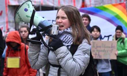 Fridays for Future, il “global strike” per il clima da Berlino a Stoccolma