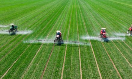Efsa: il 96,3% degli alimenti non ha residui di pesticidi