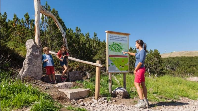 Trekking, visioni e lentezza. Alla scoperta del Renon, balcone sulle Dolomiti a 2 passi da Bolzano