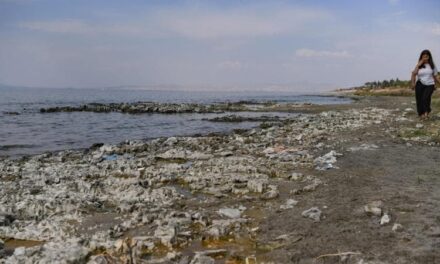 L’agonia del lago di Van, il più grande della Turchia, che sta morendo. “Con l’acqua evapora la nostra storia”