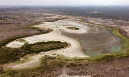 Andalusia. Laguna permanente sito Unesco secca per il secondo anno di fila. “Mai successo, Spagna a rischio desertificazione”