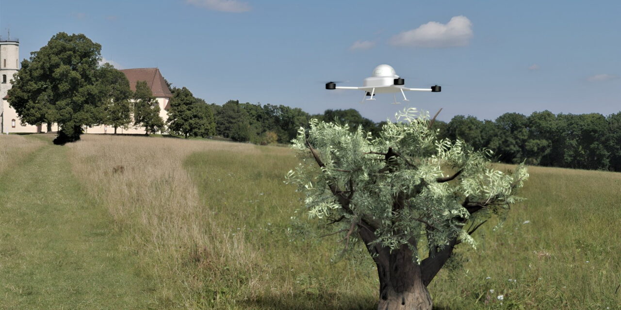 Olivair, il drone che aiuta a raccogliere le olive: un esempio per le donne innovatrici