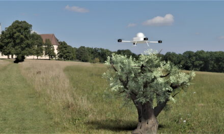 Olivair, il drone che aiuta a raccogliere le olive: un esempio per le donne innovatrici