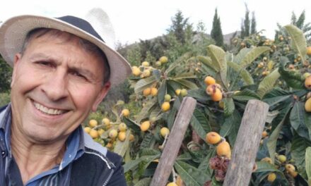 Franco Di Manno, lo psichiatra che cura la terra con i frutti dimenticati