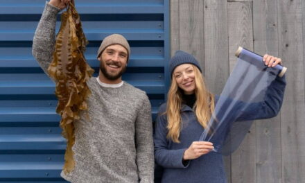 Alghe marine al posto della plastica: gli imballaggi green di una startup californiana