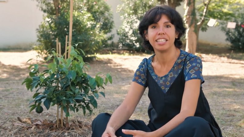 Annalisa Metta: “Basta retorica del verde: il paesaggio urbano ha bisogno di natura, non di greenwashing”