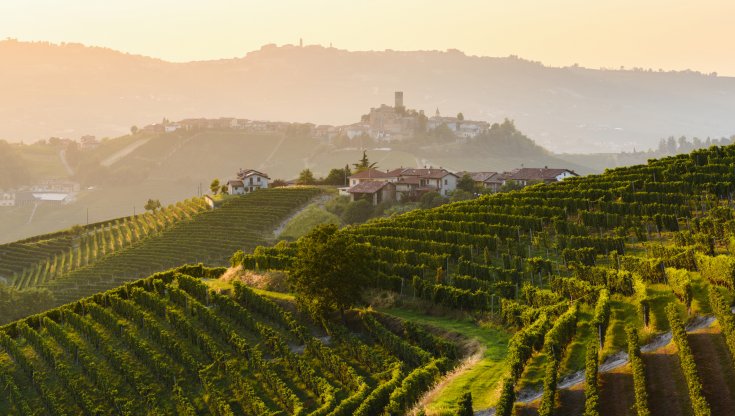 La filiera del vino punta sull’innovazione per una crescita più sostenibile