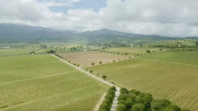 Road to Green&Blue Festival 2024: in onda il documentario “I sentieri della sostenibilità”