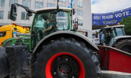 Elezioni europee, chi porterà l’ambiente a Bruxelles