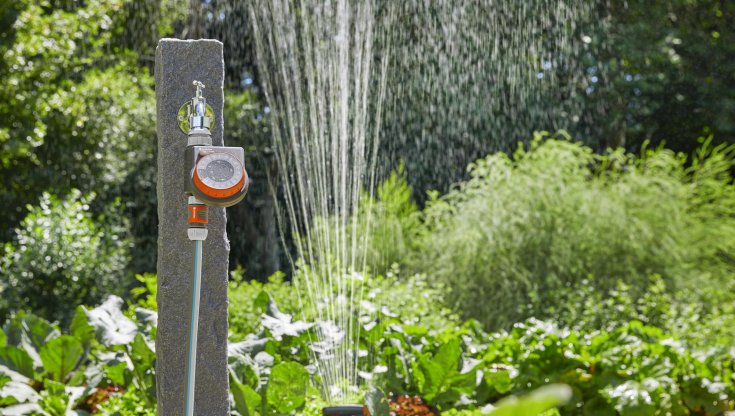 La serenità di un giardino verdeggiante   