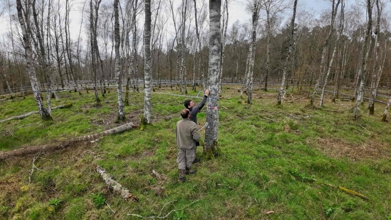 Approvata a sorpresa la Nature Restoration Law. Esultano gli ambientalisti