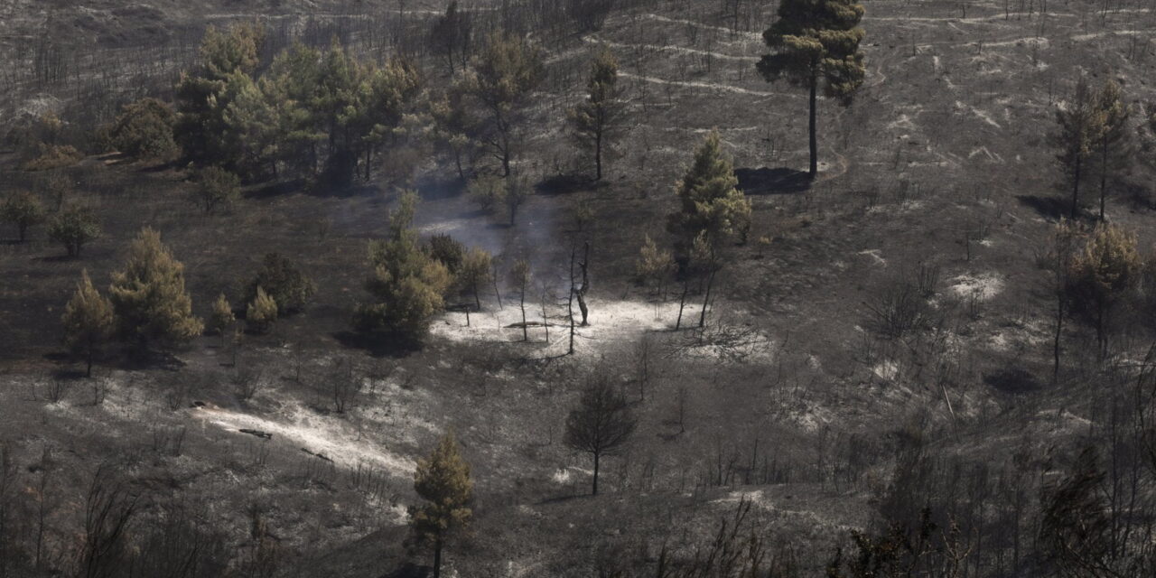 Nel Mediterraneo gli incendi estremi sono aumentati di 10 volte nell’ultima decade