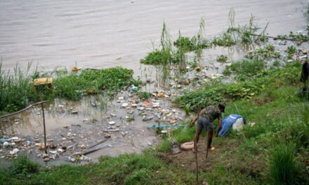 Plastisfera, la nuova minaccia per fiumi e laghi provocata dall’inquinamento delle plastiche