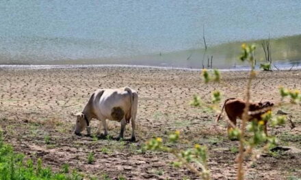 A giugno un caldo record, superato anche il picco dello stesso mese del 2023