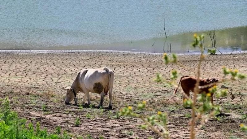 A giugno un caldo record, superato anche il picco dello stesso mese del 2023