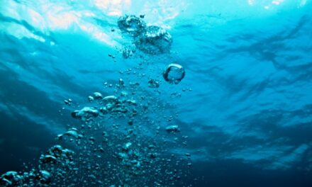 Correnti oceaniche più lente bloccano la cattura di CO2