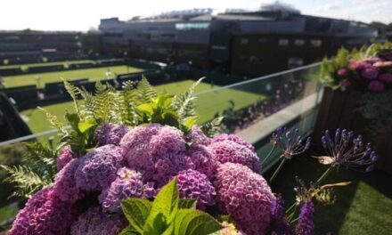 Il match di Wimbledon per la sostenibilità: così il tennis diventa verde