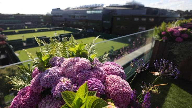 Il match di Wimbledon per la sostenibilità: così il tennis diventa verde