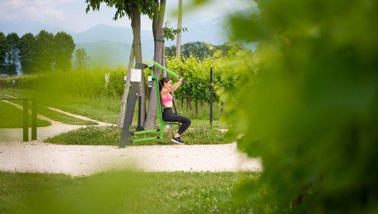 Allenarsi in vigna: la palestra all’aperto tra uva e pannelli solari