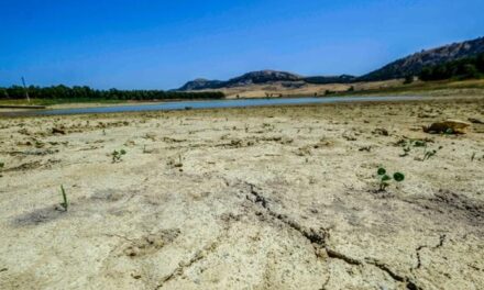 Il 22 luglio è stato il giorno più caldo di sempre