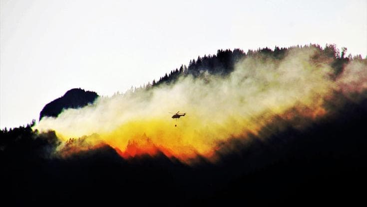 Incendi, agosto il mese più a rischio. Ma nelle foreste “gestite” i danni diminuiscono del 50%