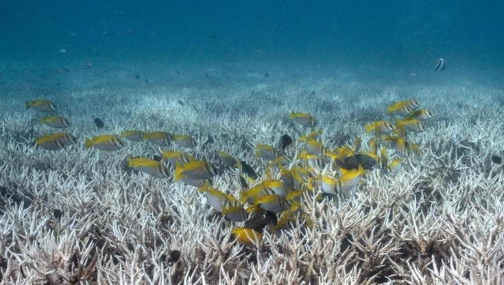 Nel profondo degli oceani c’è una grande riserva di ossigeno