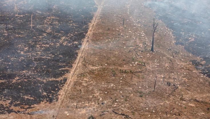 Amazzonia, la deforestazione cresce: il Brasile ha perso sette volte la città di Milano in un mese