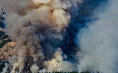 Gli incendi in Canada nel 2023 hanno emesso più CO2 in atmosfera della maggior parte dei Paesi più inquinanti