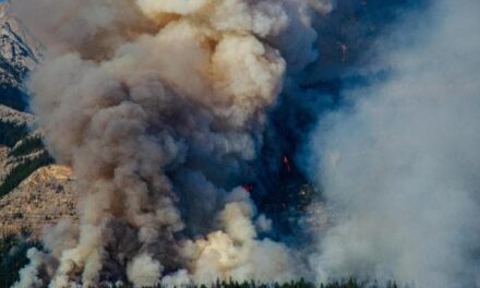 Gli incendi in Canada nel 2023 hanno emesso più CO2 in atmosfera della maggior parte dei Paesi più inquinanti