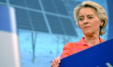 Von der Leyen punta ancora sul green deal: lo rivelano gli incarichi dati ai commissari