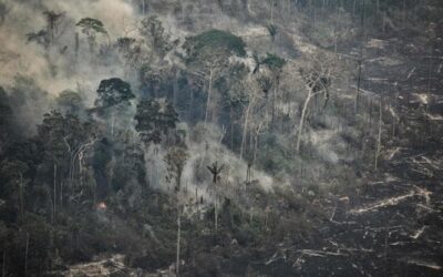 Nel Pantanal e in Amazzonia i peggiori incendi selvaggi in quasi due decenni