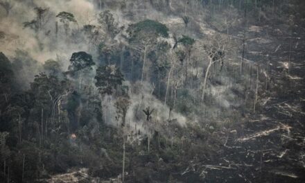 Nel Pantanal e in Amazzonia i peggiori incendi selvaggi in quasi due decenni