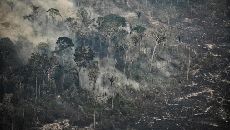 Nel Pantanal e in Amazzonia i peggiori incendi selvaggi in quasi due decenni