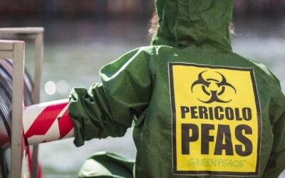 Pfas, le nuove regole Ue sulle sostanze pericolose per l’ambiente e la salute