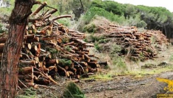 Deforestazione, l’Ue vuole rinviare la legge. Esultano le imprese, la rabbia degli ambientalisti