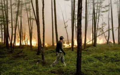 Gli incendi aumentano con il cambiamento climatico: lo studio