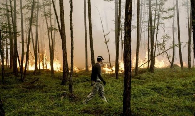 Gli incendi aumentano con il cambiamento climatico: lo studio